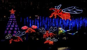 Los alumbrados de este año rinden homenaje a los 350 años de Medellín y su riqueza, como su biodiversidad. FOTO: Camilo Suárez
