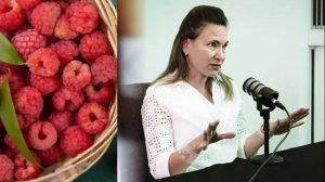 Zulma Guzmán, vinculada en fallecimiento de niñas envenenadas con frambuesas/ FOTO: Compuesta / Tomadas de redes sociales