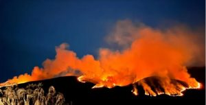 Sorry! Image not available at this time