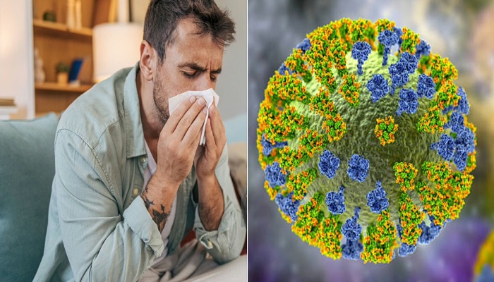 La variante H3N2 domina la temporada y genera un incremento notable de casos de gripe en el Reino Unido. Foto: iStock