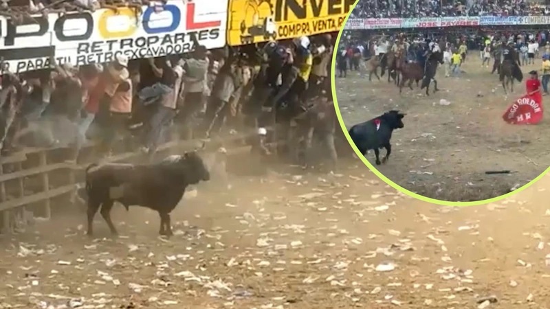 Balance de corralejas en Caucasia deja decenas de heridos y nuevas críticas