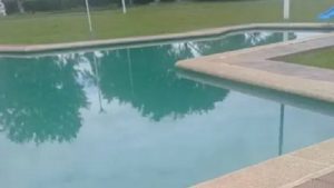 Piscina.Blu Radio / Referencia piscina / Foto: Blu Radio