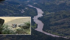 Adelante, la imagen difundida de un supuesto hipopótamo en los límites de Antioquia y Caldas. Atrás, el río Cauca en su discurrir por el Suroeste antioqueño. FOTO: Manuel Saldarriaga Quintero y Cortesía