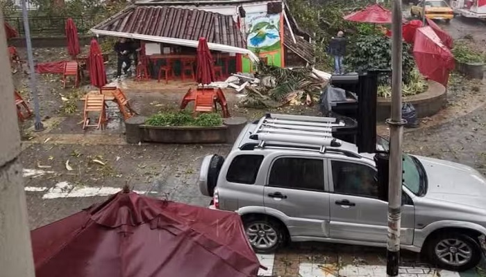 Una mujer y un hombre resultaron heridos tras la caída de un árbol de 20 metros en la plaza de Bolívar. Foto: Captura de pantalla