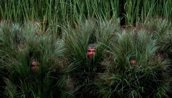 Decenas de bailarines disfrazados de arbustos hicieron parte de la escenografía del show de medio tiempo de Bad Bunny en el Super Bowl. FOTO: Getty Images.