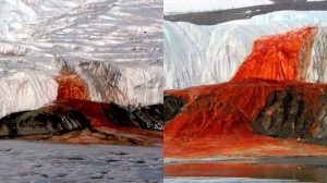 Las cataratas de sangre están ubicadas en el continente de la Antártida. Foto: Tomada de redes sociales - API