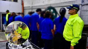 Operativo policial permitió desmantelar una bodega ilegal donde fabricaban placas para vehículos y motocicletas en el Valle de Aburrá. Foto: Policía Nacional.