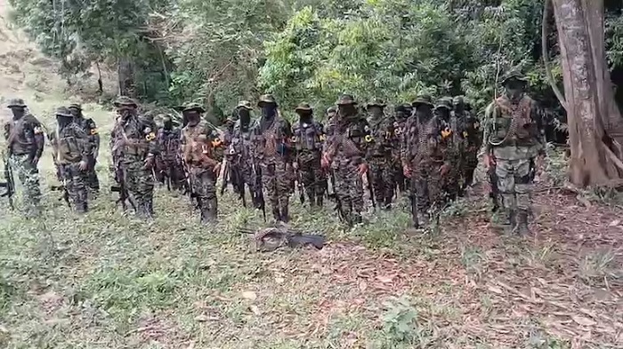 Los Pachenca y el Clan del Golfo entraron en guerra en la Sierra Nevada. Foto: Pantallazo de video de Los Pachenca
