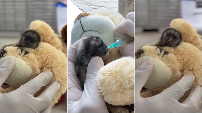 Foto: redes sociales Cornare