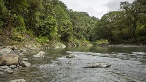 Atractivos naturales del Valle del Cauca. Foto: Cortesía - Comisión Fílmica Colombia (CFC) / API