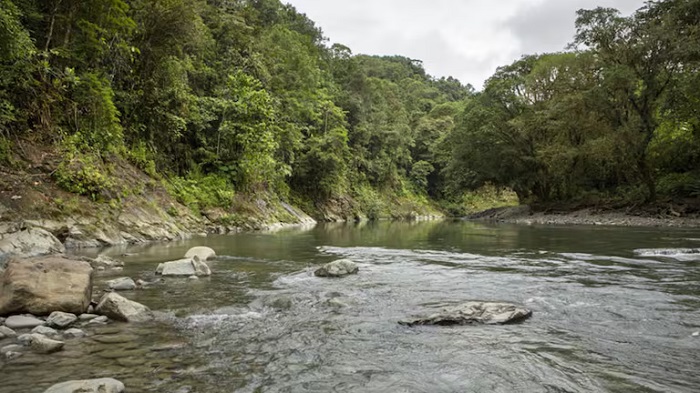 Atractivos naturales del Valle del Cauca. Foto: Cortesía - Comisión Fílmica Colombia (CFC) / API
